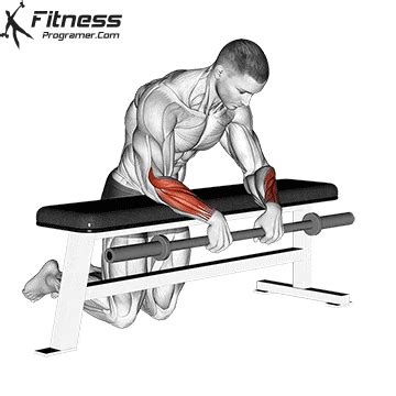 Barbell Reverse Wrist Curl Over A Bench » Workout Planner