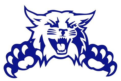 Wildcat Face Svg