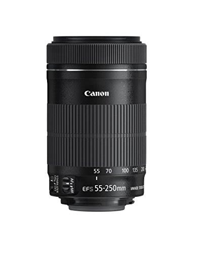 Canon EF-S 55-250mm f/4-5.6 IS STM Review - Ehab Photography