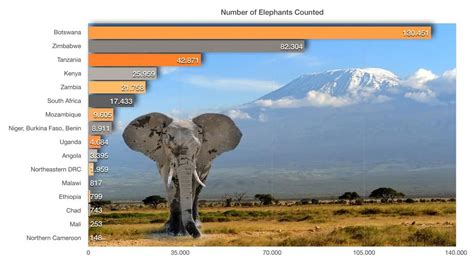 Great Elephant Census Reveals Massive Population Decline in African ...