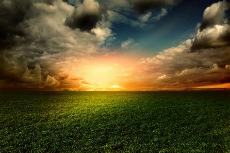 Download Grass Field Sunset Cloud Nature Sky 4k Ultra HD Wallpaper