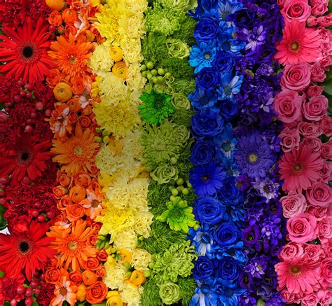 jetfreshflowers-rainbow-flowers-shaded - Jet Fresh Flower Distributors