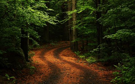 Daily Wallpaper: Nature Trail | I Like To Waste My Time