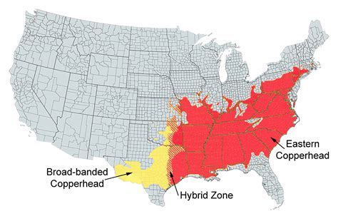 Copperhead Snake Habitat Map