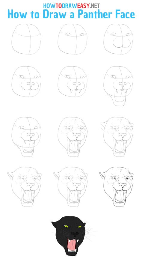 How to Draw a Black Panther Head Step by Step | Cat face drawing, Black ...