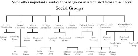 SOCIAL GROUPS - TriumphIAS