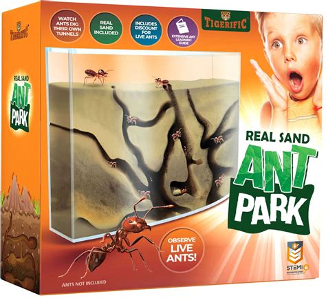 Buy Tigerific Ant Farm for Live Ants – Ant Colony for Kids. Great ...