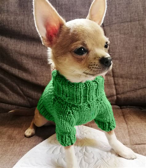 Chihuahua clothes Puppy clothes Chihuahua sweater XXS dog | Etsy