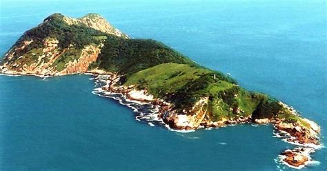 Ilha de Queimada Grande: The Snake Island Is World's Deadliest Island ...