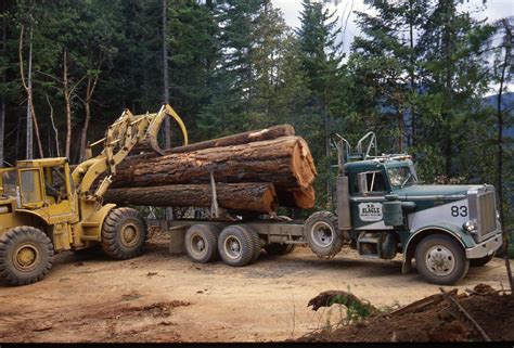 Peterbilt 359 logger | Model truck kits, Cool trucks, Big trucks