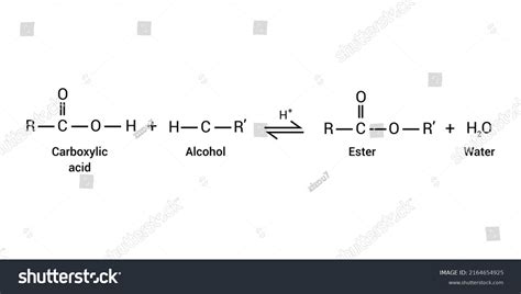 Fischer Esterification Reaction Mechanism - 88Guru