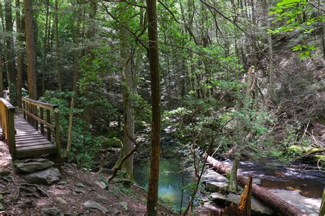 Sycamore Falls: The Best Tennessee Summer Hike - Exploring Chatt