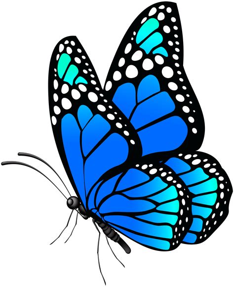 Monarch Butterfly Clipart | Free download - Clip Art Library