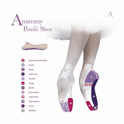 How Should A Pointe Shoe Fit? – Dance Essentials Inc. | Dancewear ...