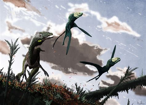 Mark P. Witton's Blog: Why Dimorphodon macronyx is one of the coolest ...