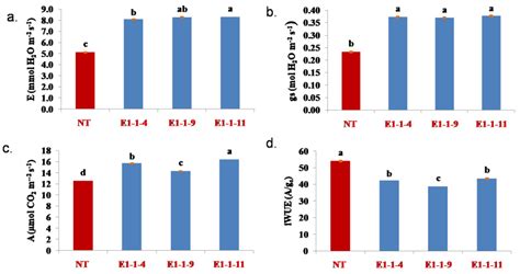 CIMB | Free Full-Text | Altering Stomatal Density for Manipulating ...