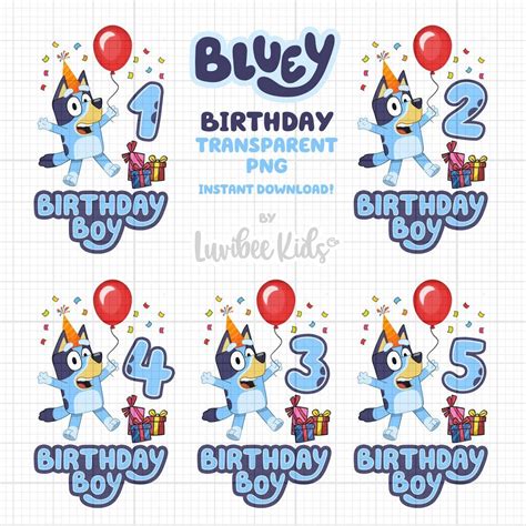 Bluey Inspired Birthday Boy Iron On Transfer Design with Age - Digital ...