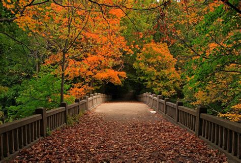 Autumn Bridge Wallpapers - Wallpaper Cave