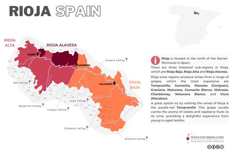 Your 2024 guide to Rioja wine region | Winetourism.com