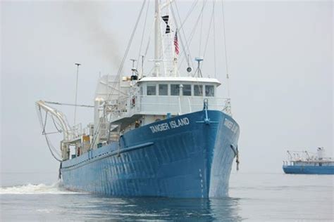 The Menhaden Fishing Boat 'Tangier Island' | Fishing boats, Working ...