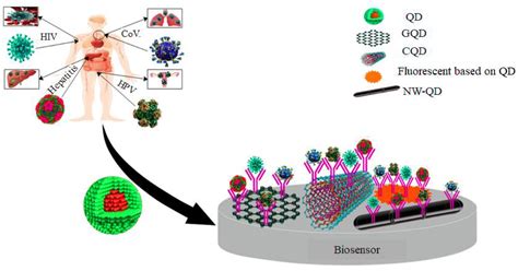 The Pivotal Role of Quantum Dots-Based Biomarkers Integrated with Ultra ...