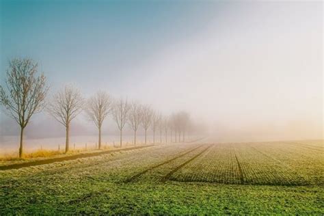 Impact of intensive farming on biodiversity | Large Scale Agriculture