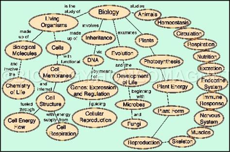 Branches of Biology - Biology for Everybody