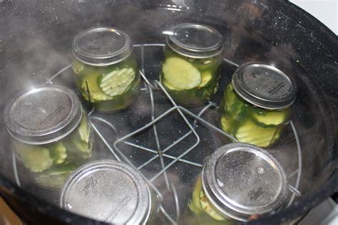 Canning pickles | Mason jar meals, Canning tips, Dehydrating food storage