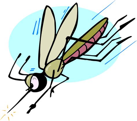 Cartoon Mosquitoes ~ Mosquito Cartoon Vector Illustration Shutterstock ...