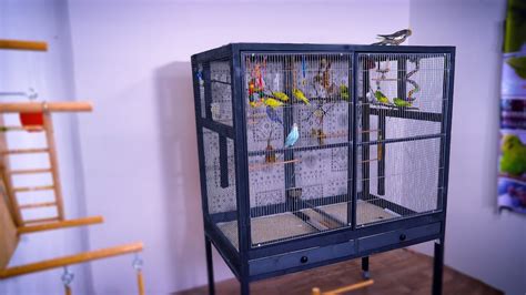 Build Bird Cage for Cheap | 3 simple Designs for DIY - YouTube