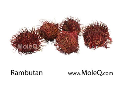 Rambutan – Moleq Inc. – Food Information