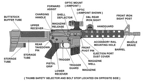 How to Choose an AR-15 that’s Right for You – Survival Blog – TEOTWAWKI ...