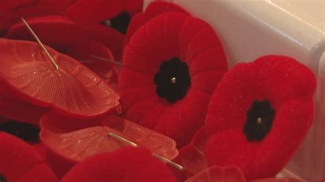 Royal Canadian Legion launches new poppy campaign to modernize ...