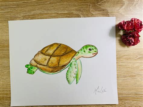 Baby Sea Turtle Color Drawing