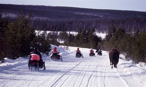 West Yellowstone Snowmobiling: Snowmobile Rentals & Tours - AllTrips