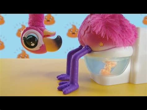 Little Live Pets | Gotta Go Flamingo | TVC 30 – KeyPetCare.com