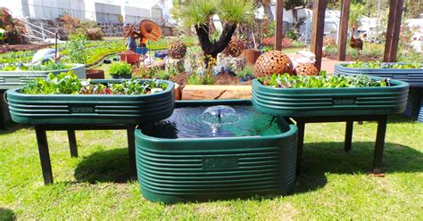 Backyard aquaponics kits australia | Kile