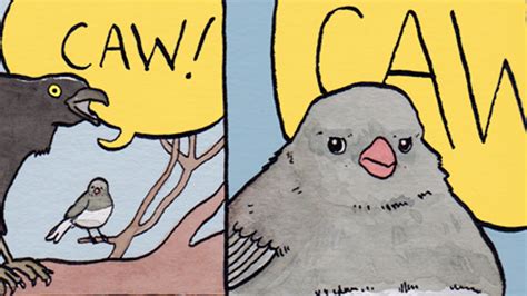 Bird Meme Template