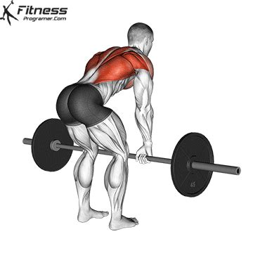 Barbell Bent Over Row » Workout Planner