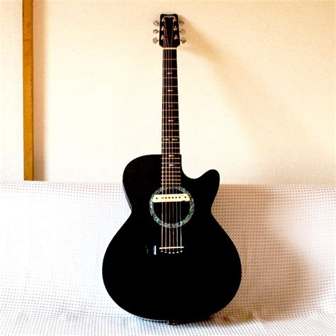 rain song guitar WS1000 « WEMUSIC