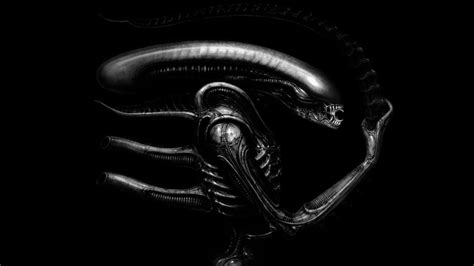 Alien 1979 Wallpapers - Top Free Alien 1979 Backgrounds - WallpaperAccess