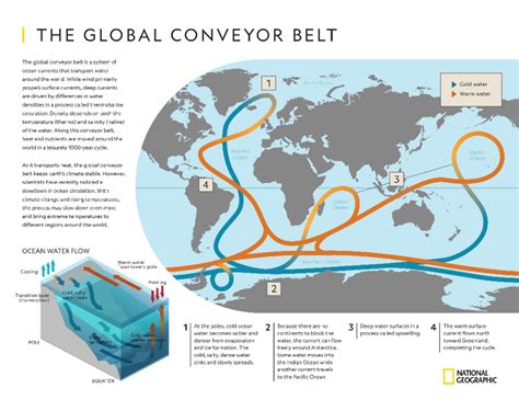 Explore this infographic to help students understand how the global ...