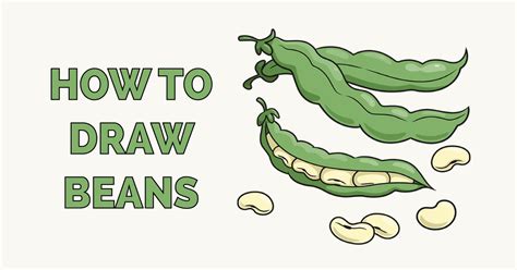 How To Draw Beans Step By Step at How To Draw