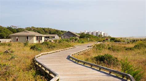 Myrtle Beach State Park in Myrtle Beach | Expedia