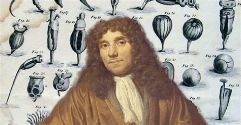 BIOGRAFI TOKOH EKOLOGI TUMBUHAN Antony van Leeuwenhoek