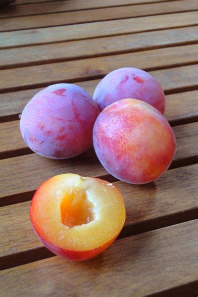 Pin by Елена on Jamtastic and Marmaladerrific | Fruit, Peach, Fresh fruit