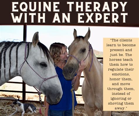 Equine Therapy with an Expert