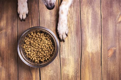 Amazon Wag Dog Food Review 2024: An In-Depth Look at Amazon's Dog Food