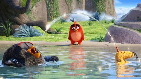 The Angry Birds Movie Latest Wallpaper,HD Movies Wallpapers,4k ...