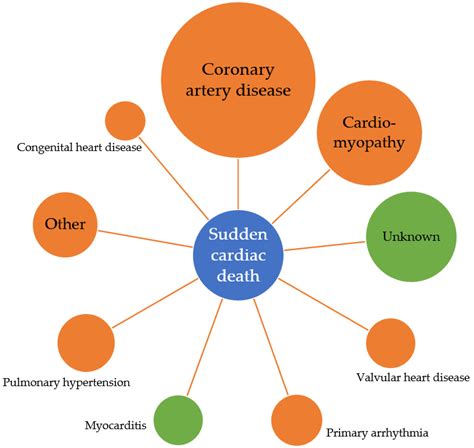 Diagnostics | Free Full-Text | Sudden Cardiac Death in Systemic ...